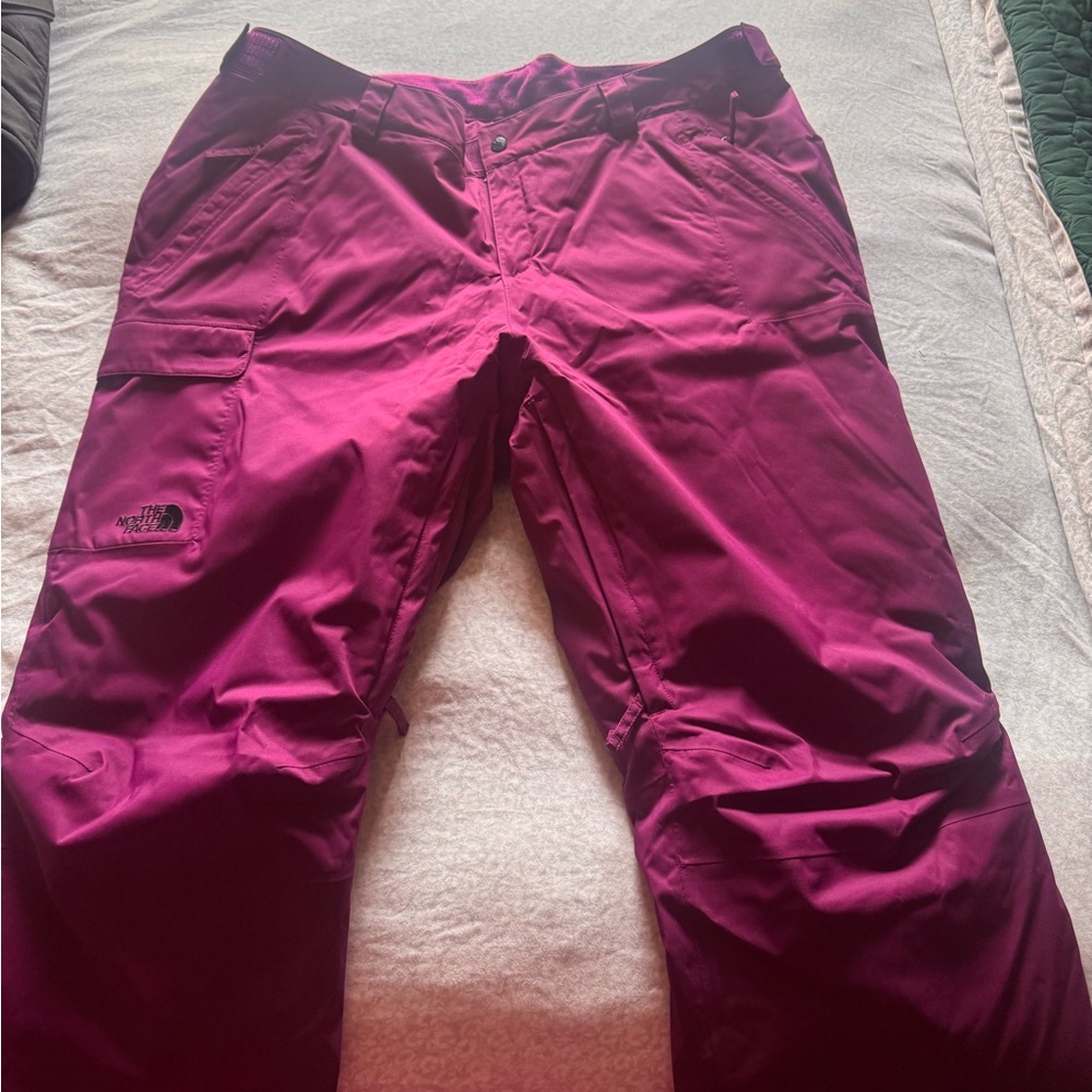The north face freedom snow pants